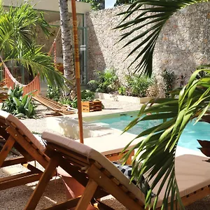 Couette-café Nuik Casa Tropical 