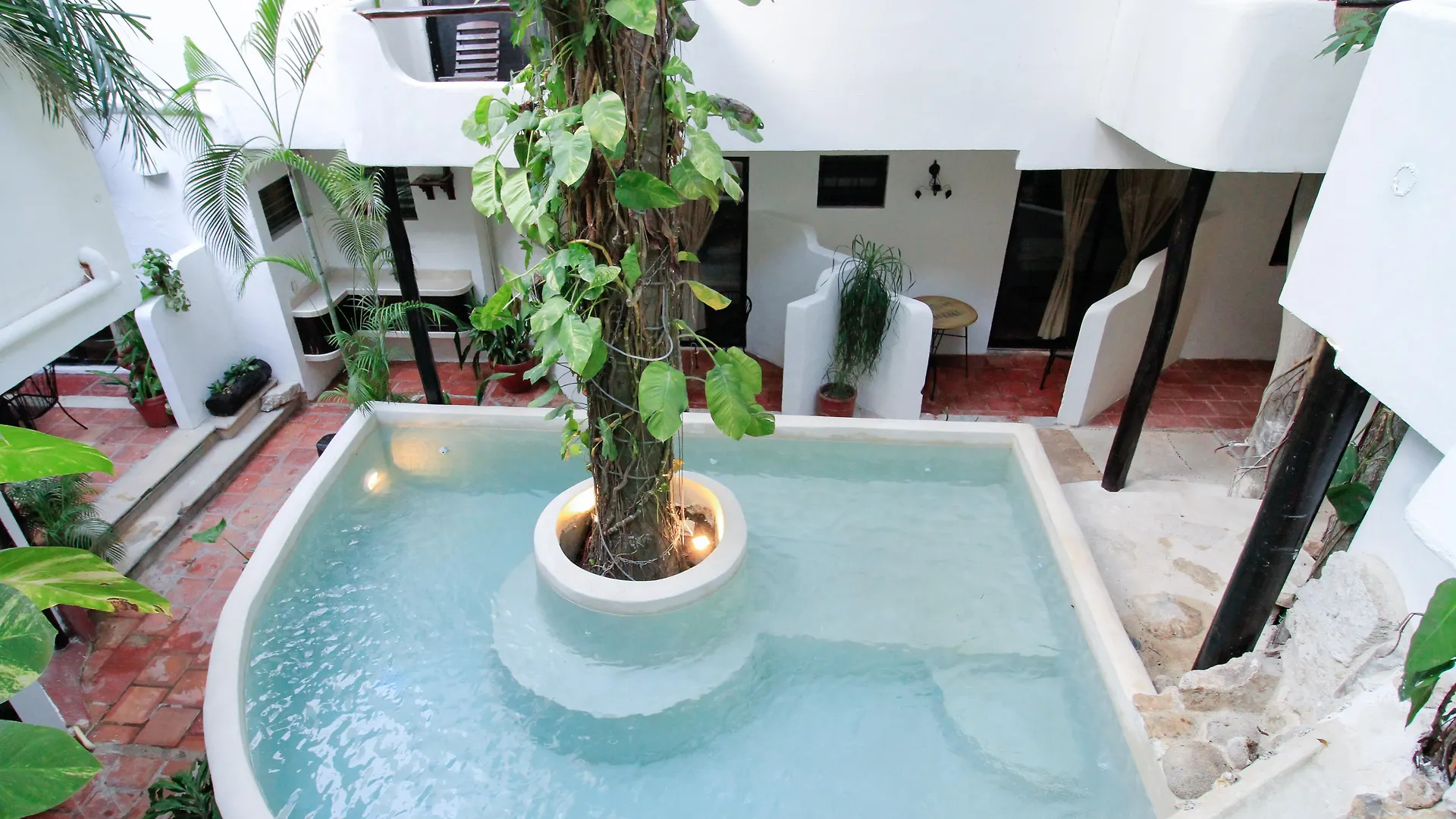 Moonshine Hotel Плая-дель-Кармен
