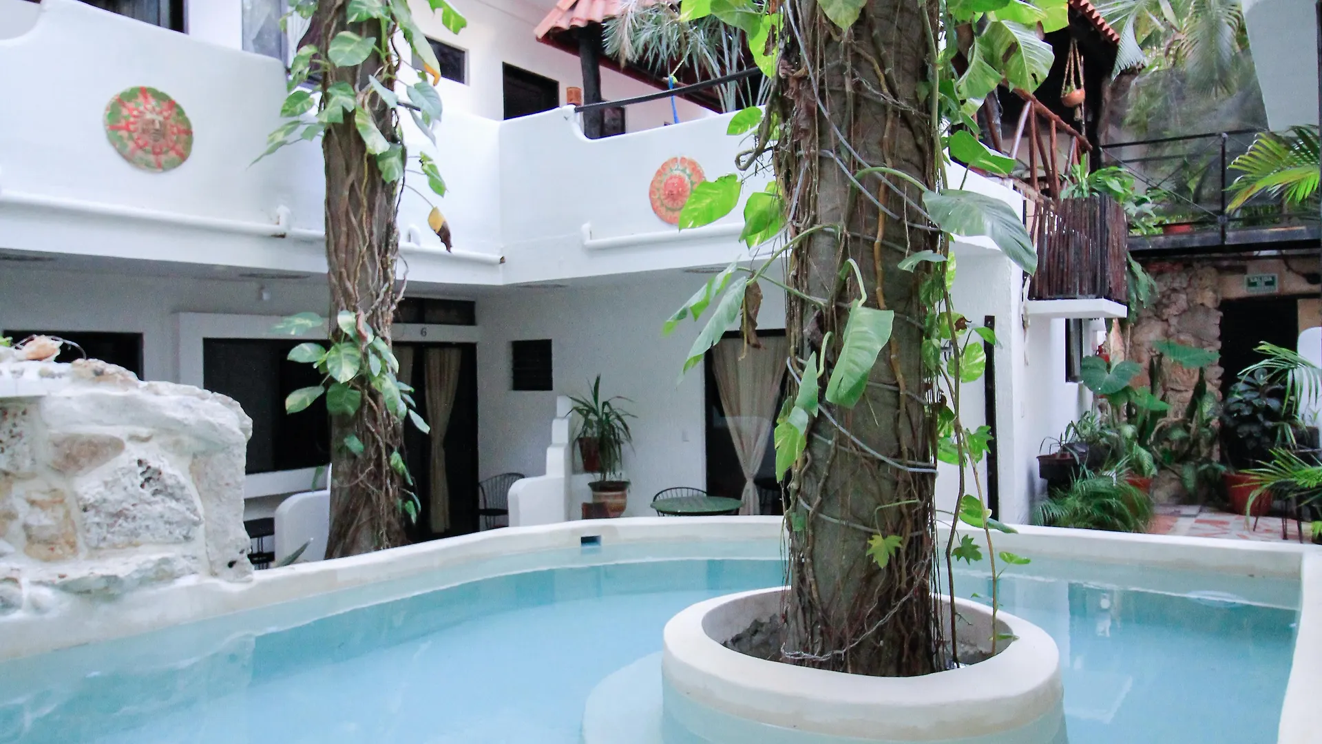 Moonshine Hotel Playa del Carmen